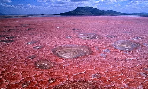 Bi an ho nuoc do nhu mau, la liet xac chet hoa da