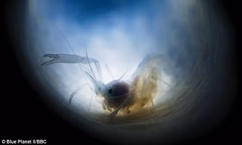 Tom ket trong bot bien ca doi, viet nen “chuyen tinh” kinh ngac