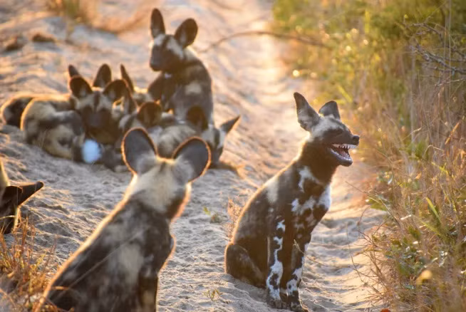 “Cậu cười cái gì vậy?”