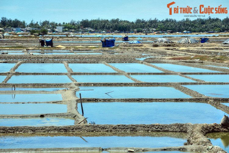 Năm 1776, phủ Quảng Nghĩa được nhà Tây Sơn đổi thành Hòa Nghĩa, rồi năm 1803 lại được nhà Nguyễn đổi lại thành Quảng Nghĩa. Ảnh: Ruộng muối Sa Huỳnh, Quảng Ngãi.