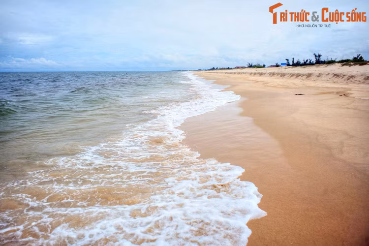 Khi ấy đang mùa nắng, các loài cây hoa rất khó sống ở miền gió lào cát trắng Quảng Bình. Dù vậy, các chị tiếp viên nhà khách Giao tế ở khu Đức Ninh, Đồng Hới, vẫn kiếm được những đóa hoa hồng vàng rất đẹp để bày trong phòng khách. Ảnh: Bãi biển Nhật Lệ, Đồng Hới.