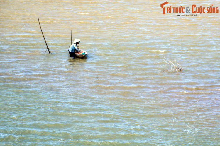 Từ ngoài biển khơi nhìn vào sẽ thấy ba gò đất cao nhô lên thành hình tam giác là Núi An Hà, Quảng Phú và Trà Cai. Khi ghé thuyền vào hướng ba ngọn núi này, sẽ gặp cửa sông, nơi hợp lưu của ba con sông Tam Kỳ, Trường Giang và Bàn Thạch. Ảnh: Trên sông Tam Kỳ.
