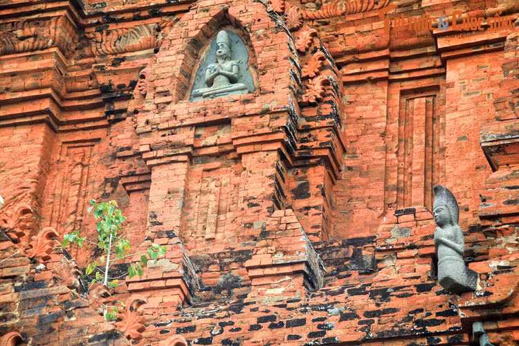 Từ 1976 đến 1991, khi tỉnh Ninh Thuận hợp nhất với tỉnh Bình Thuận và tỉnh Bình Tuy thành tỉnh Thuận Hải thì Phan Rang – Tháp Chàm trở thành thị xã thứ hai thuộc tỉnh Thuận Hải, sau thị xã Phan Thiết.