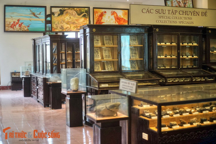 Ngày nay, Bảo tàng Địa chất là nơi lưu giữ hàng nghìn mẫu vật thuộc các các bộ sưu tập được phân thành chuyên đề hoặc theo khu vực địa lý.