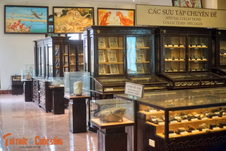 Ngày nay, Bảo tàng Địa chất là nơi lưu giữ hàng nghìn mẫu vật thuộc các các bộ sưu tập được phân thành chuyên đề hoặc theo khu vực địa lý.