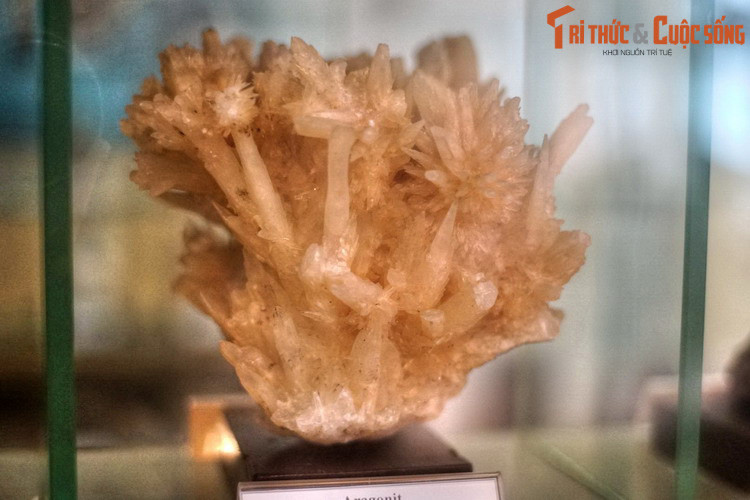 Mẫu tinh thể aragonite, thu thập ở Vĩnh Thịnh, Lạng Sơn năm 1975.