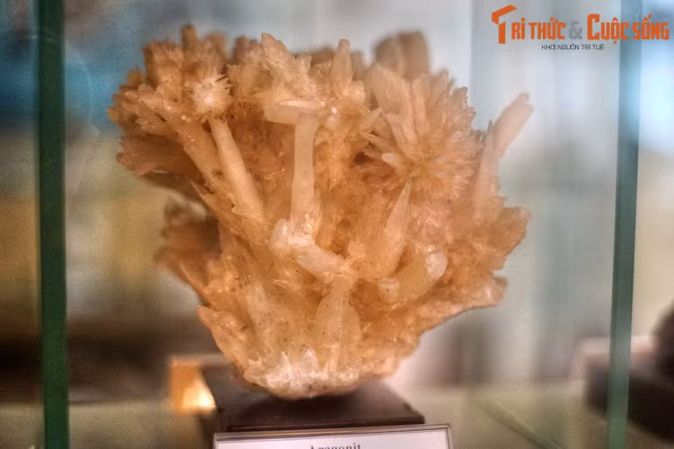 Mẫu tinh thể aragonite, thu thập ở Vĩnh Thịnh, Lạng Sơn năm 1975.
