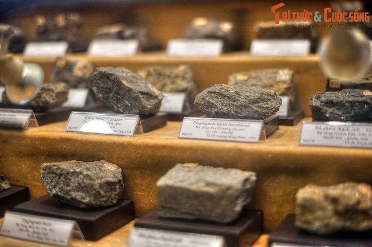 Bên cạnh việc phục vụ các nghiên cứu khoa học, Bảo tàng cũng mở cửa phục vụ nhu cầu tham quan của người dân, khách du lịch và là một điểm đến lý tưởng cho những ai thích khám phá thế giới tự nhiên.