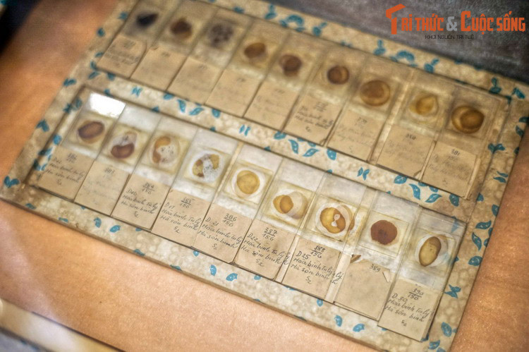 Vào năm 2001, Bảo tàng Địa chất đã được Hội đồng Bảo tàng Quốc tế (ICOM) công nhận là thành viên của tổ chức này, và là một trong năm thành viên đầu tiên của ICOM Việt Nam.