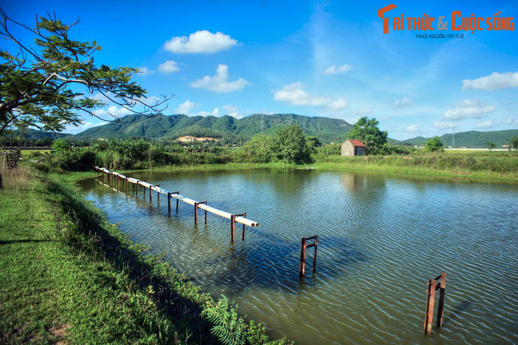 Đến năm 1976, hai tỉnh lại hợp thành tỉnh Nghệ Tĩnh rồi đến năm 1991 lại tách ra thành Nghệ An và Hà Tĩnh cho đến ngày nay. Ảnh: Khung cảnh thôn quê ở huyện Nam Đàn.