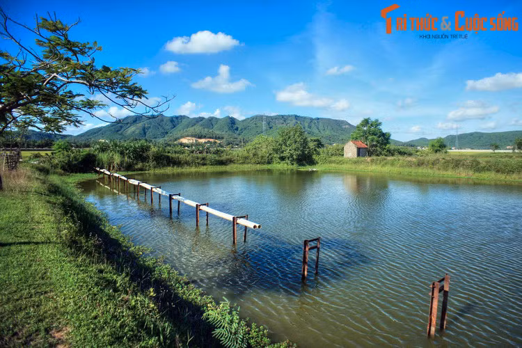 Đến năm 1976, hai tỉnh lại hợp thành tỉnh Nghệ Tĩnh rồi đến năm 1991 lại tách ra thành Nghệ An và Hà Tĩnh cho đến ngày nay. Ảnh: Khung cảnh thôn quê ở huyện Nam Đàn.