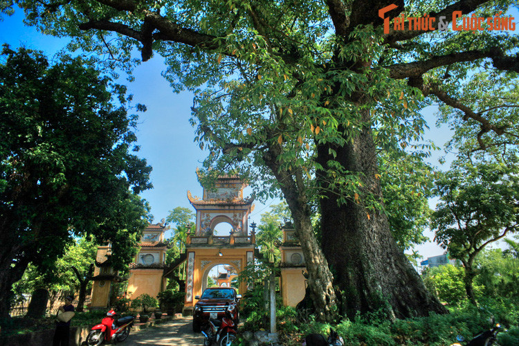 Năm 1282, quân Nguyên lăm le xâm lược Đại Việt lần thứ hai. Trong lúc tình thế cấp bách, vua quan nhà Trần tình cờ nhận ra Trần Khánh Dư khi ông đang chèo thuyền trên sông. Khánh Dư được đưa về kinh thành và phong ngay làm Phó đô tướng quân.