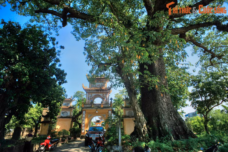 Năm 1282, quân Nguyên lăm le xâm lược Đại Việt lần thứ hai. Trong lúc tình thế cấp bách, vua quan nhà Trần tình cờ nhận ra Trần Khánh Dư khi ông đang chèo thuyền trên sông. Khánh Dư được đưa về kinh thành và phong ngay làm Phó đô tướng quân.