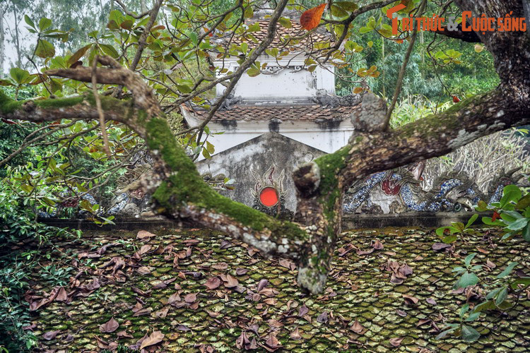 Dưới thời Thiệu Trị, do mẹ vua tên là Tá Thiên Nhân hoàng hậu Hồ Thị Hoa nên triều đình có quy định về cách viết văn sách, chữ Hoa phải bớt nét hoặc ghi ký hiệu lên đầu chữ để biết là kỵ huý. Ảnh: Đền thờ Tô Hiến Thành ở Sầm Sơn, Thanh Hóa.