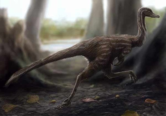 Một số hình ảnh phục dựng về khủng long một móng Mononykus.