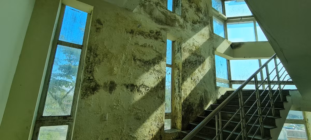 Bên trong nhiều nơi tường bong tróc từng mảng, rêu mốc phủ kín. Từ khu vực cầu thang...