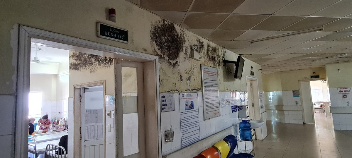 ... đến trong và ngoài buồng bệnh, rêu mốc xuất hiện khắp nơi.