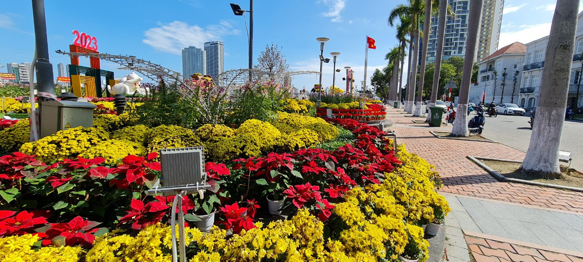 Gần 100.000 chậu hoa gồm nhiều chủng loại hoa khác nhau từ các nhà vườn khắp nơi trong cả nước tạo nên đường hoa ấn tượng này.