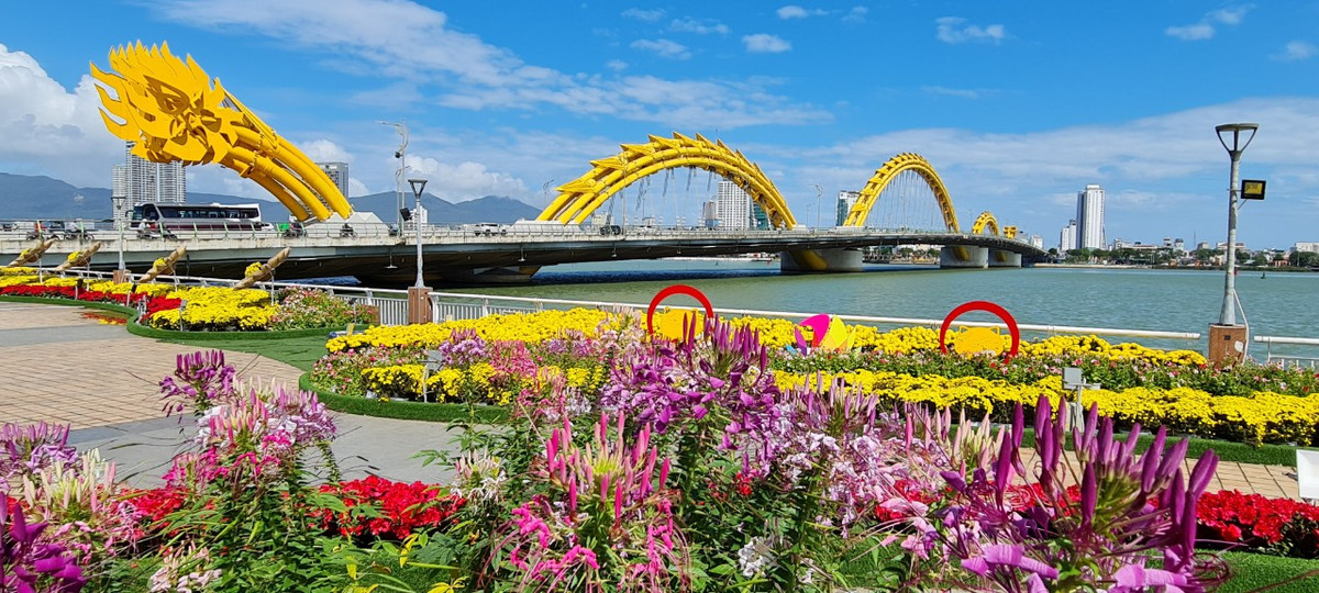 Ngàn hoa khoe sắc nổi bật cả một vùng trung tâm thành phố.