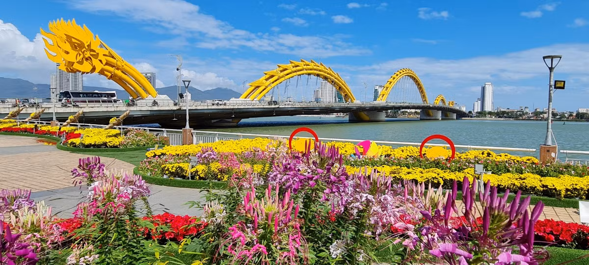 Ngàn hoa khoe sắc nổi bật cả một vùng trung tâm thành phố.