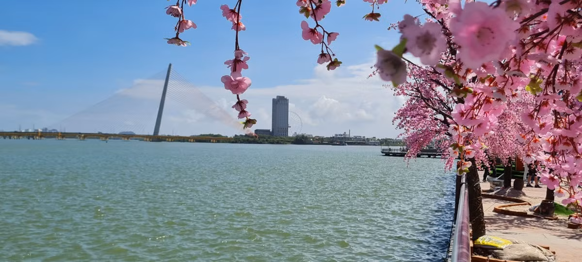 Khung cảnh lãng mạn, nên thơ ngỡ như trong các câu truyện cổ tích...