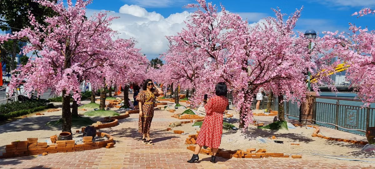 Cung đường rực rỡ hoa đào trở thành điểm check in không thể bỏ qua của du khách.