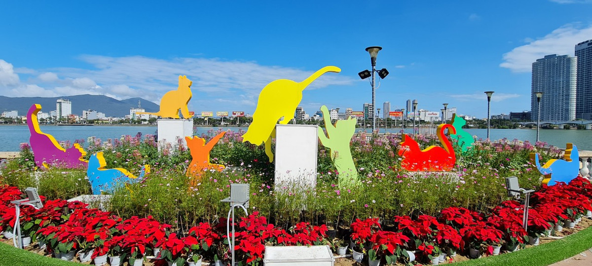 Cả đàn mèo tung tăng chạy nhảy, vui đùa giữa "vườn" hoa.