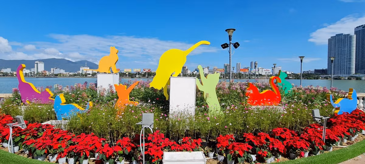 Cả đàn mèo tung tăng chạy nhảy, vui đùa giữa "vườn" hoa.