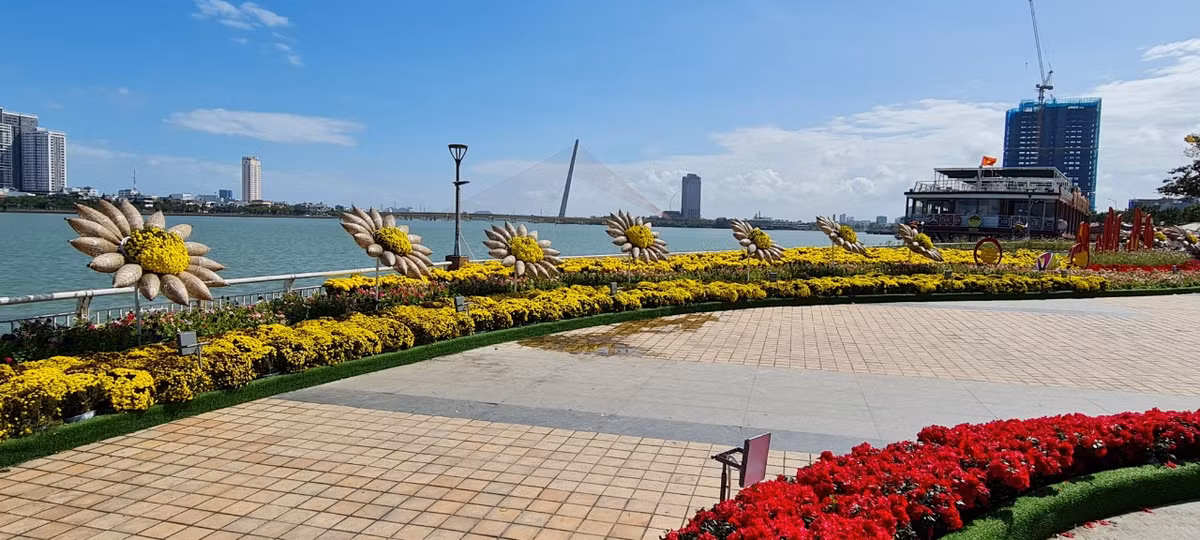  Đường hoa Tết Đà Nẵng nằm bên bờ sông Hàn trải dài từ cầu Trần Thị Lý đến cầu sông Hàn.