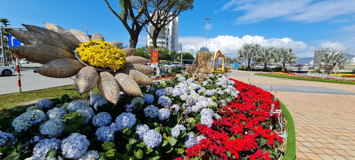 Tết Nguyên tiêu, "vườn" hoa xuân Đà Nẵng vẫn rực rỡ sắc màu.