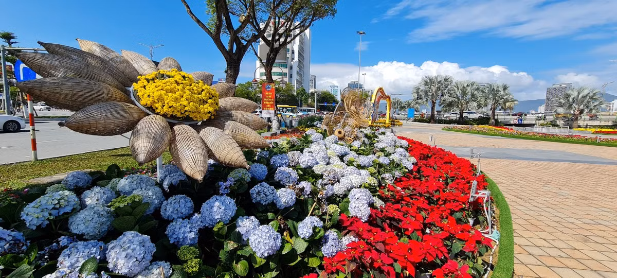 Tết Nguyên tiêu, "vườn" hoa xuân Đà Nẵng vẫn rực rỡ sắc màu.