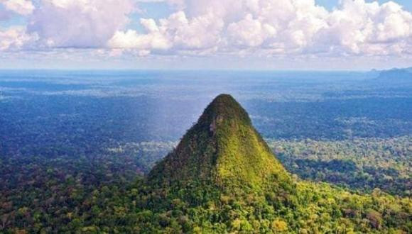 Vi sao goi rung mua nhiet doi la 