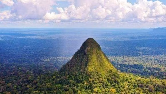 Vi sao goi rung mua nhiet doi la 