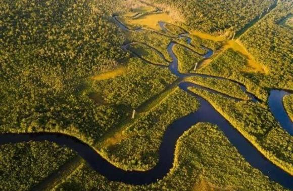 Vi sao goi rung mua nhiet doi la 