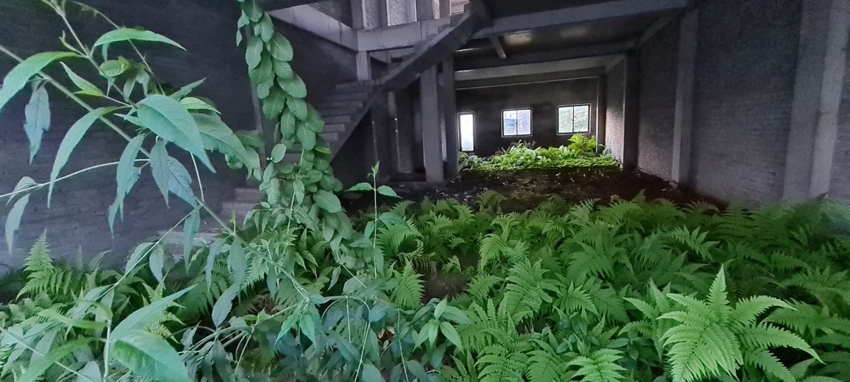 Tuy nhiên, thực tế đang rất khác...