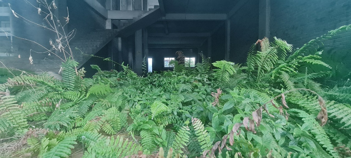 Dãy shophouse từng được giới thiệu có mặt tiền rộng 7,5m, diện tích khuôn viên 150 m2, xây 3,5 tầng rất phù hợp cho kinh doanh và an cư.