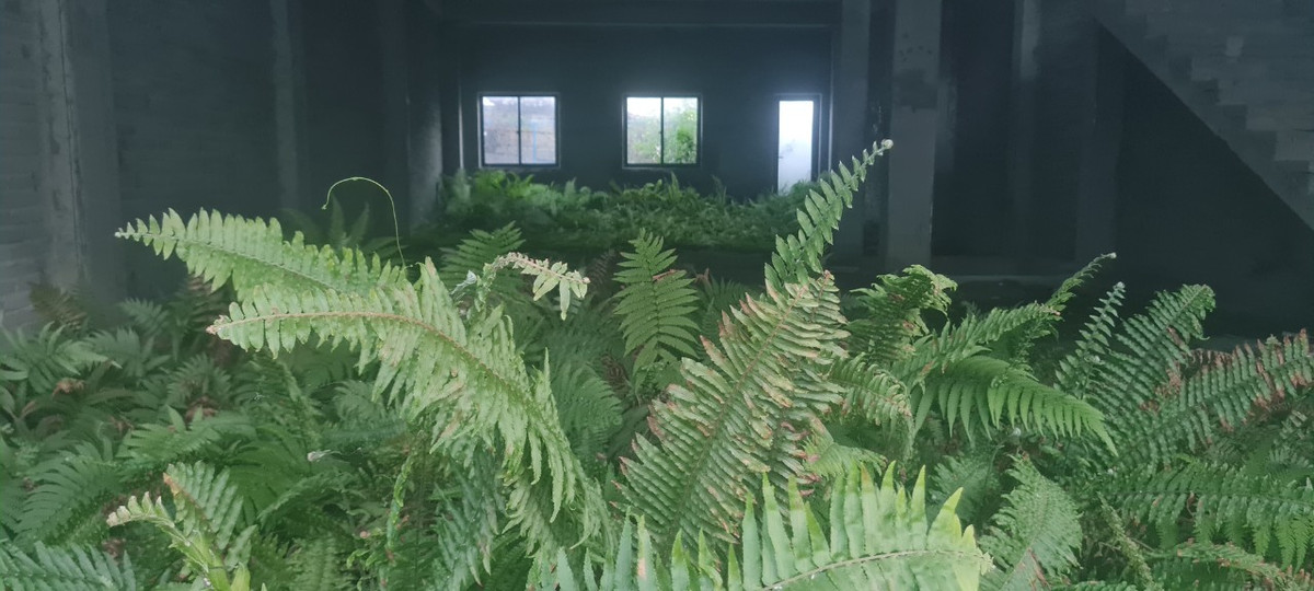 Đây từng được xem là nơi chỉ dành cho người có nhu cầu kinh doanh ngay.