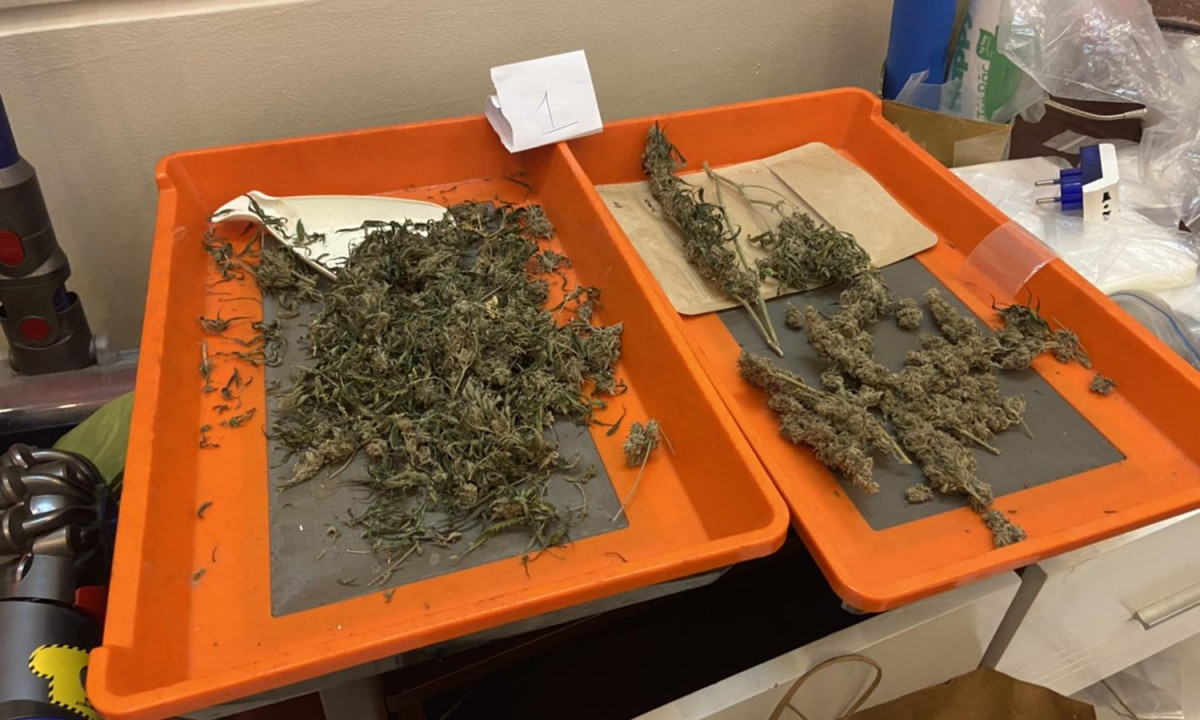 Qua kiểm tra phát hiện tại một căn hộ có 2 khay nhựa chứa loại thảo mộc khô nghi là cần sa cùng một số vật dụng dùng để trồng, sử dụng cần sa. Lúc này trong căn hộ có ông K.E (SN 1983, quốc tịch Nhật Bản đã đăng ký lưu trú tại đây từ ngày 29/6/2022) và bà S.N (SN 1987, cùng mang quốc tịch Nhật Bản).