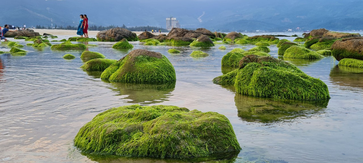 Nam Ô mùa này nhìn ở góc nào cũng đẹp.