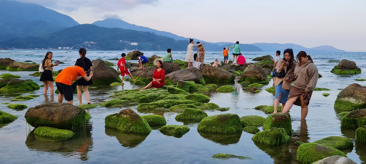 Rêu trên đá đẹp nhất là lúc bình minh hay hoàng hôn chiếu xuống mặt biển.