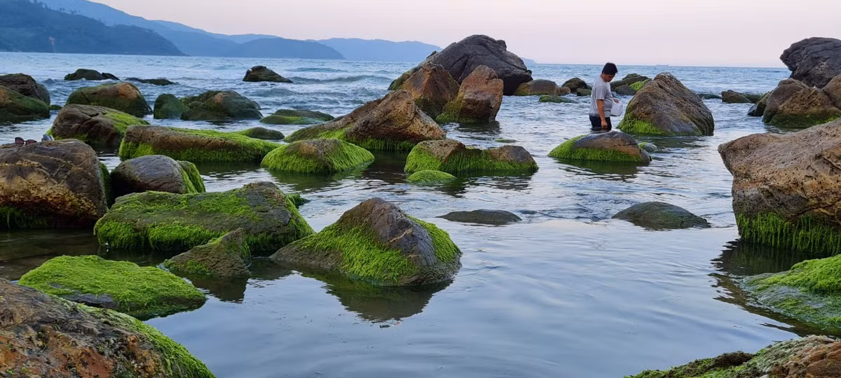 Đá nhấp nhô ngâm mình trong làn nước biển trong xanh, trước mặt là Hải Vân "Thiên hạ đệ nhất hùng quan", tạo nên một khung cảnh hữu tình, thơ mộng.