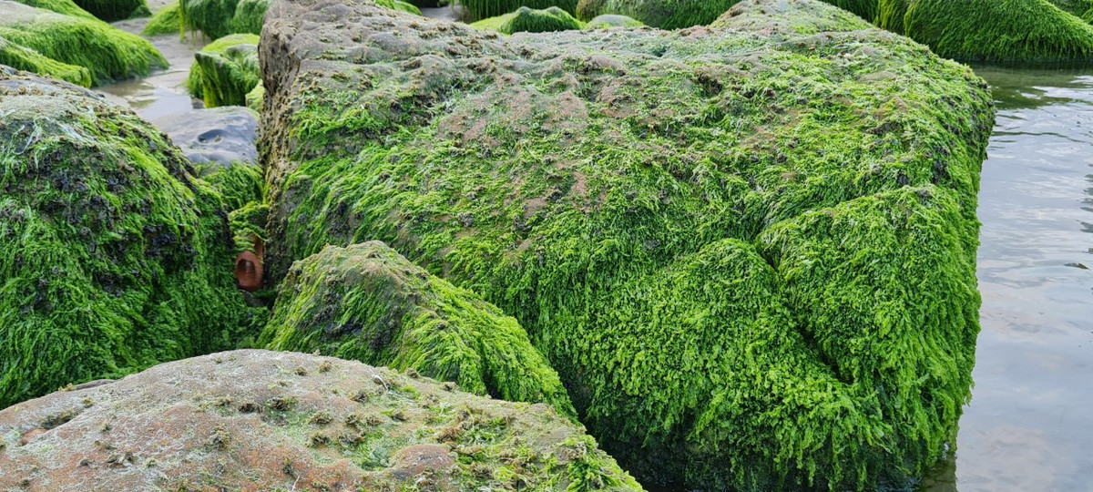 Những tảng đá ngâm mình trong làn nước mát rượi, hòa quyện với màu trời xanh biếc tạo nên một vẻ đẹp kì thú hấp dẫn du khách.