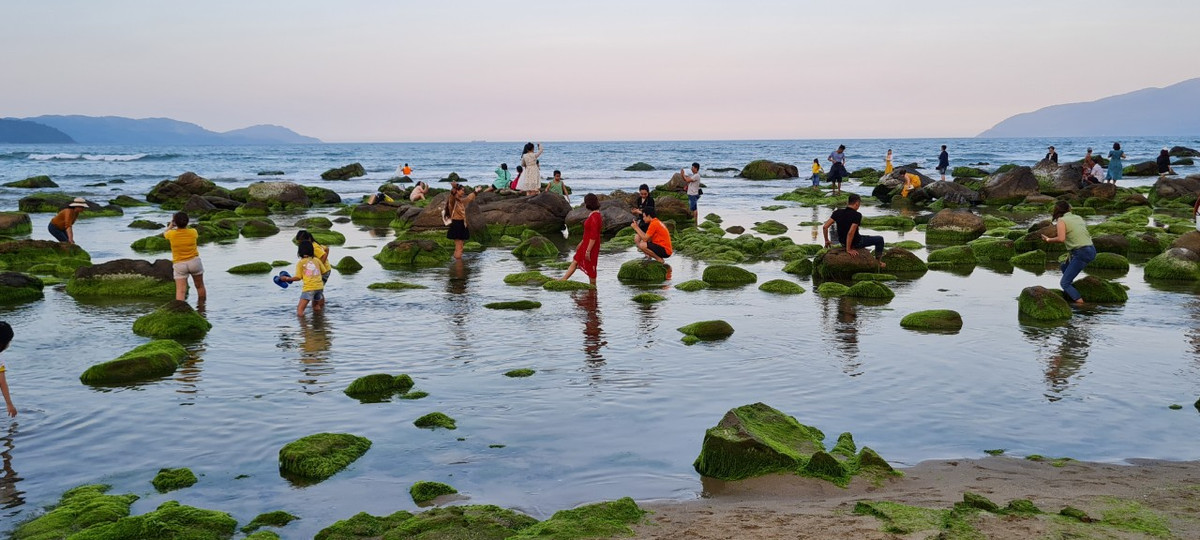Những tảng đá với đủ các hình thù lớn nhỏ bỗng nhiên được thay áo mới, từ bỏ lớp áo màu nâu cũ kỹ để chuyển sang màu xanh mướt như dải lụa tuyệt đẹp.