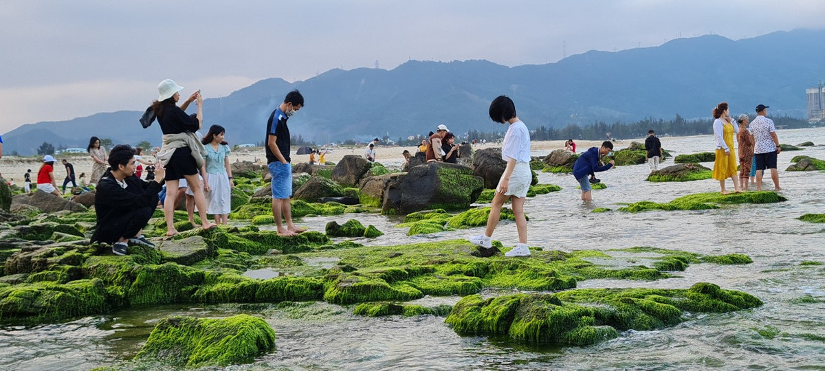 Nơi đây trở thành địa điểm để các bạn trẻ mặc sức tạo dáng trong ánh nắng chan hòa.