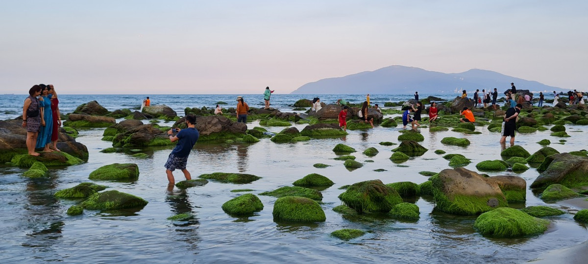 Nằm ở phía tây bắc, cách trung tâm TP. Đà Nẵng khoảng 17km, ghềnh đá Nam Ô những ngày này trở thành một địa điểm check-in cực hot.
