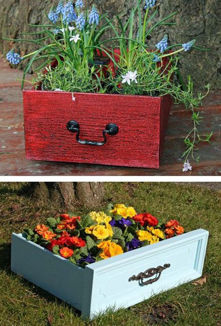 Thay vì đầu tư một khoản tiền kha khá để mua khay nhựa hay làm các giàn trồng cây tốn tiền thì bạn hoàn toàn có thể tận dụng những ngăn tủ bỏ đi để trồng cây, vừa tiết kiệm mà lại có hiệu quả cao.