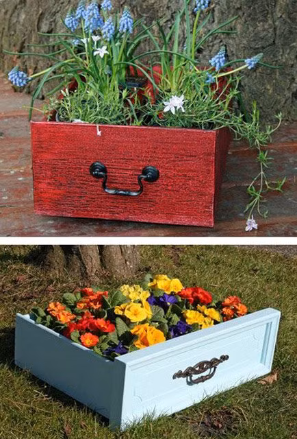 Thay vì đầu tư một khoản tiền kha khá để mua khay nhựa hay làm các giàn trồng cây tốn tiền thì bạn hoàn toàn có thể tận dụng những ngăn tủ bỏ đi để trồng cây, vừa tiết kiệm mà lại có hiệu quả cao.