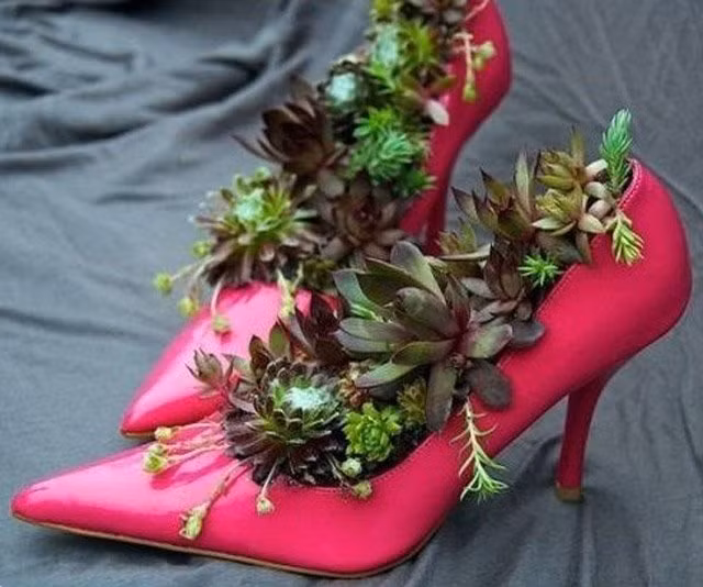Với những đôi dép đi ở nhà, giày cao gót bỏ đi, bạn đều có thể "hô biến" chúng thành chậu cây xinh xắn. Dùng dép nhựa, giày cao gót đơn giản hơn việc sử dụng chai nhựa bởi một số loại dép nhựa có lỗ sẵn, bạn chỉ việc đóng chúng lên tường, bỏ đất vào trong dép rồi có thể trồng đủ các loại rau cho gia đình, nhất là các loại rau gia vị như: hành, mùi tàu, xà lách…
