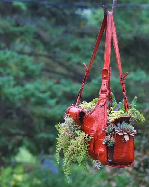 Những chiếc túi xách cũng là sự lựa chọn khá hoàn hảo để trồng cây khi mà lượng đất để bên trong được kha khá nhiều và một vài lỗ đục để thoát nước tốt. Chẳng thua kém những chậu trồng rau chuyên nghiệp phải không nào?