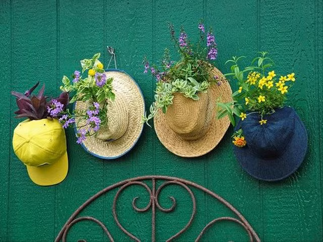 Tái sử dụng những chiếc mũ để trồng cây rồi treo chúng lên trên tường là một ý tưởng không tồi chút nào.